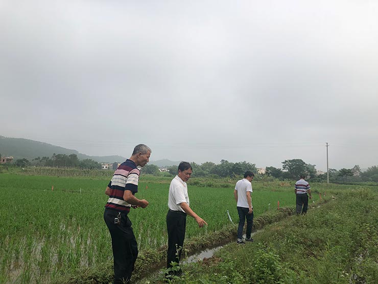 首页- 尊龙集团中国官网入口
