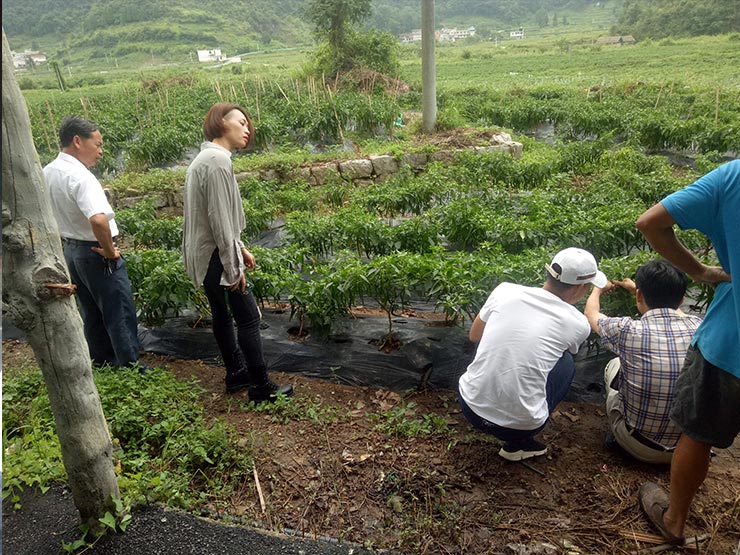 首页- 尊龙集团中国官网入口