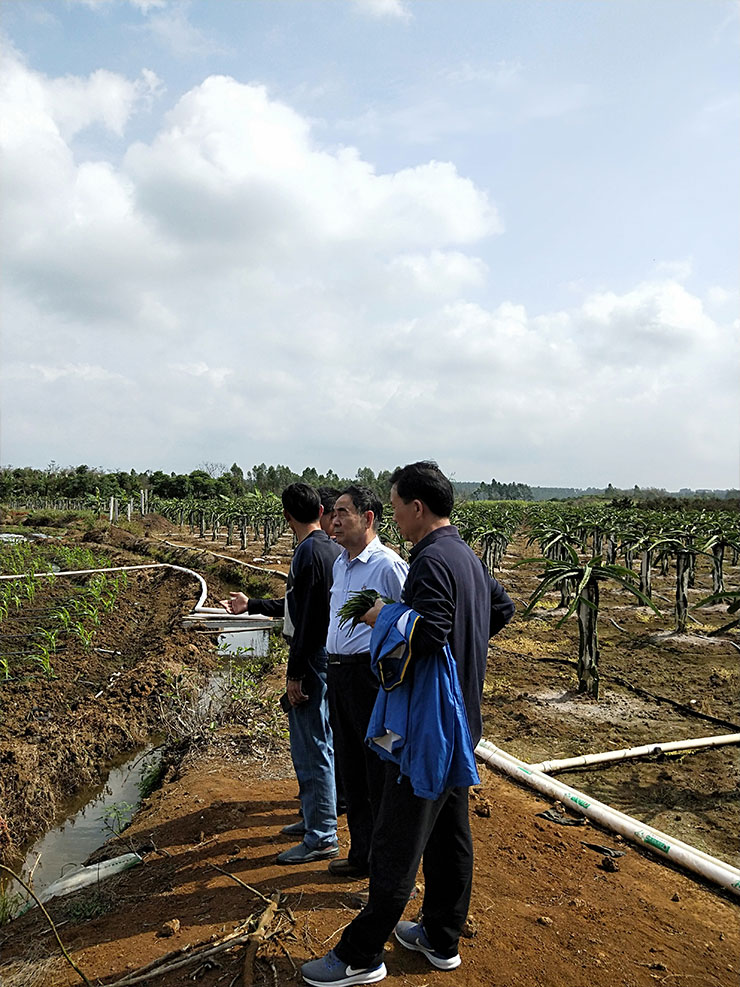 首页- 尊龙集团中国官网入口