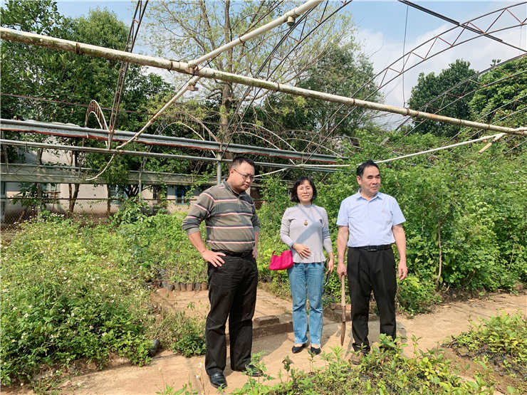 首页- 尊龙集团中国官网入口