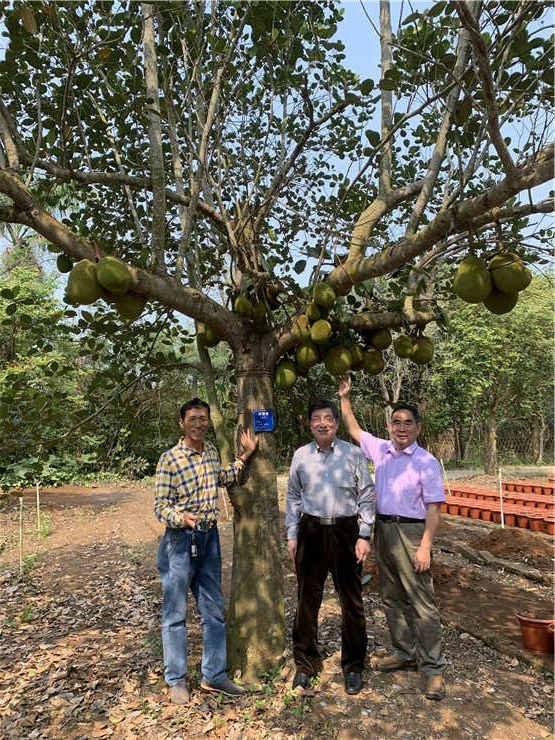 首页- 尊龙集团中国官网入口