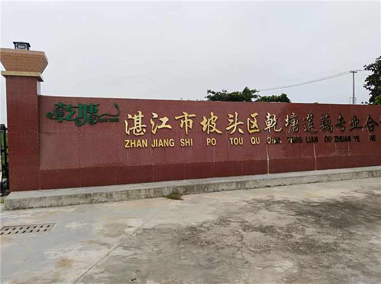 首页- 尊龙集团中国官网入口