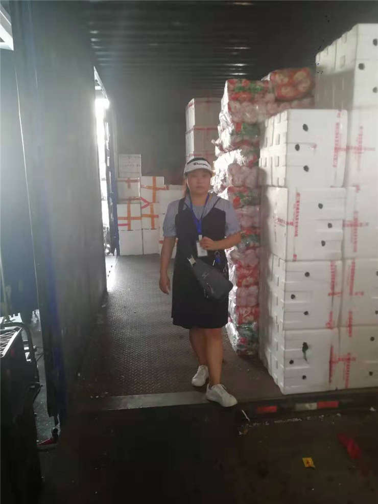 首页- 尊龙集团中国官网入口