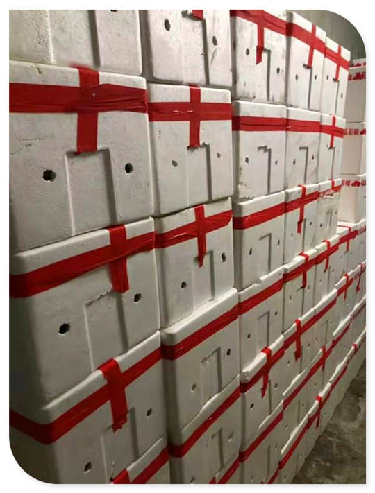 首页- 尊龙集团中国官网入口