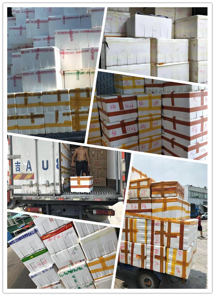 首页- 尊龙集团中国官网入口