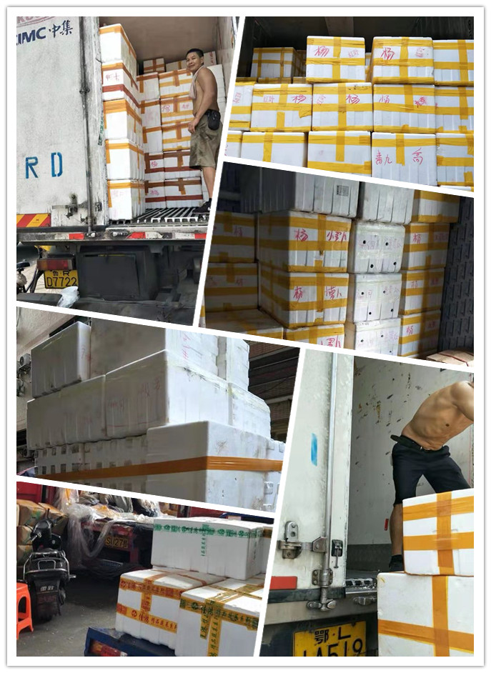 首页- 尊龙集团中国官网入口