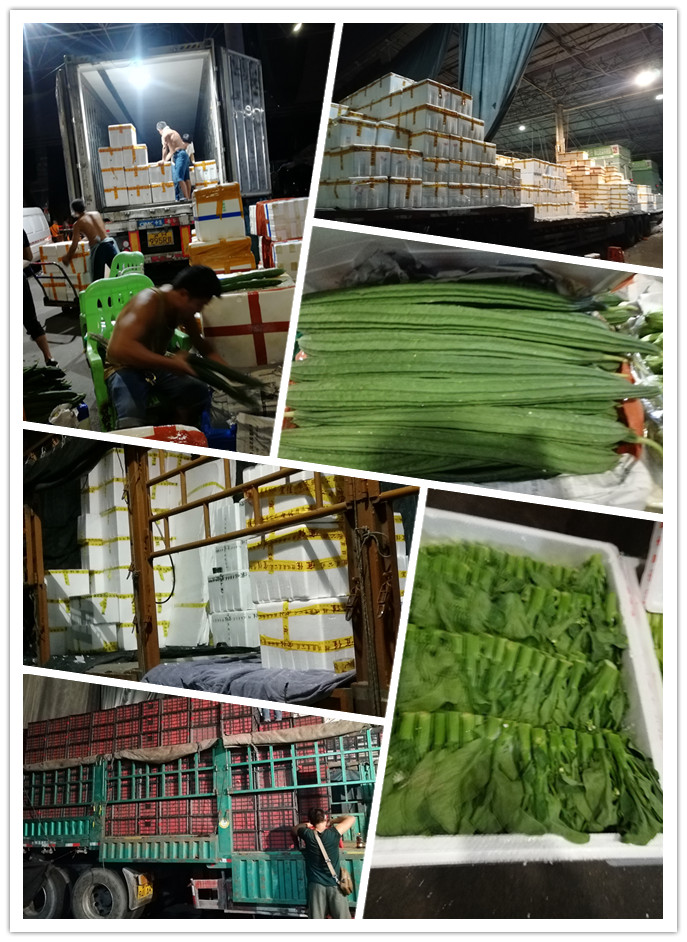 首页- 尊龙集团中国官网入口