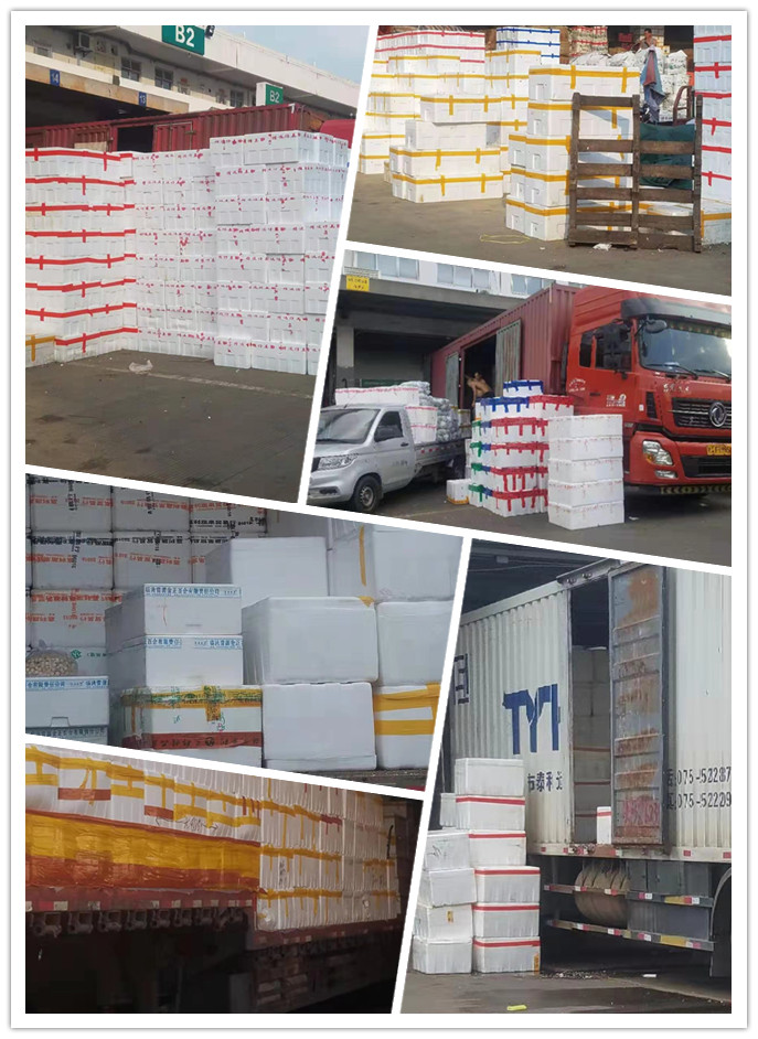 首页- 尊龙集团中国官网入口