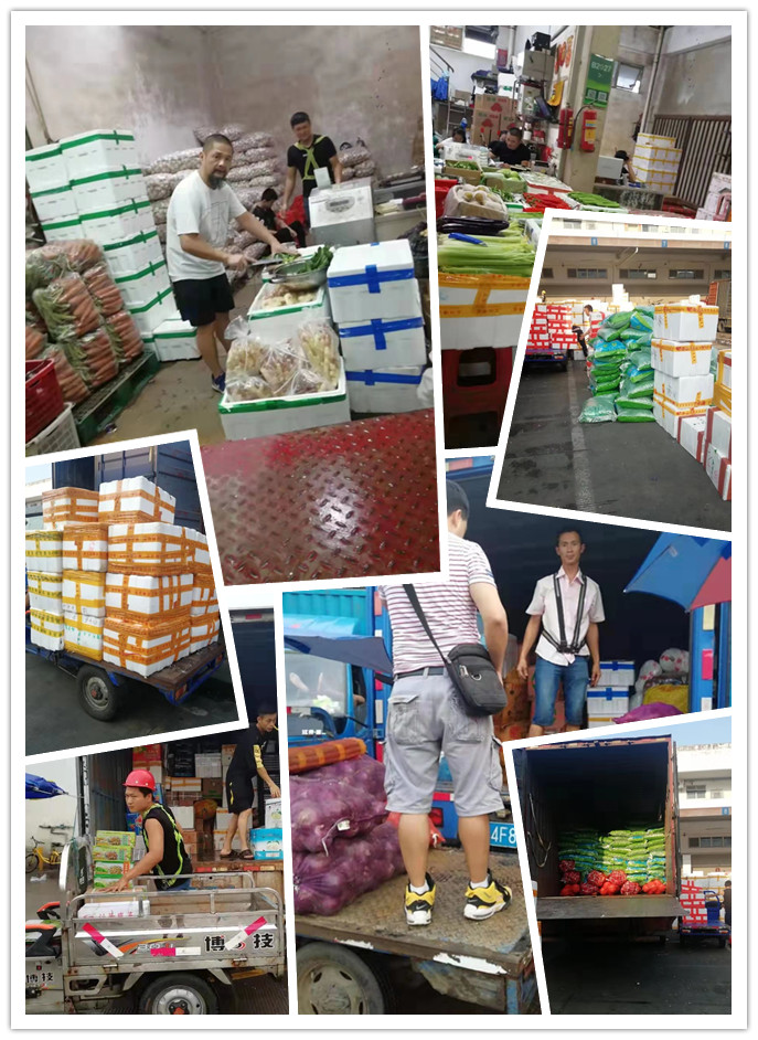 首页- 尊龙集团中国官网入口