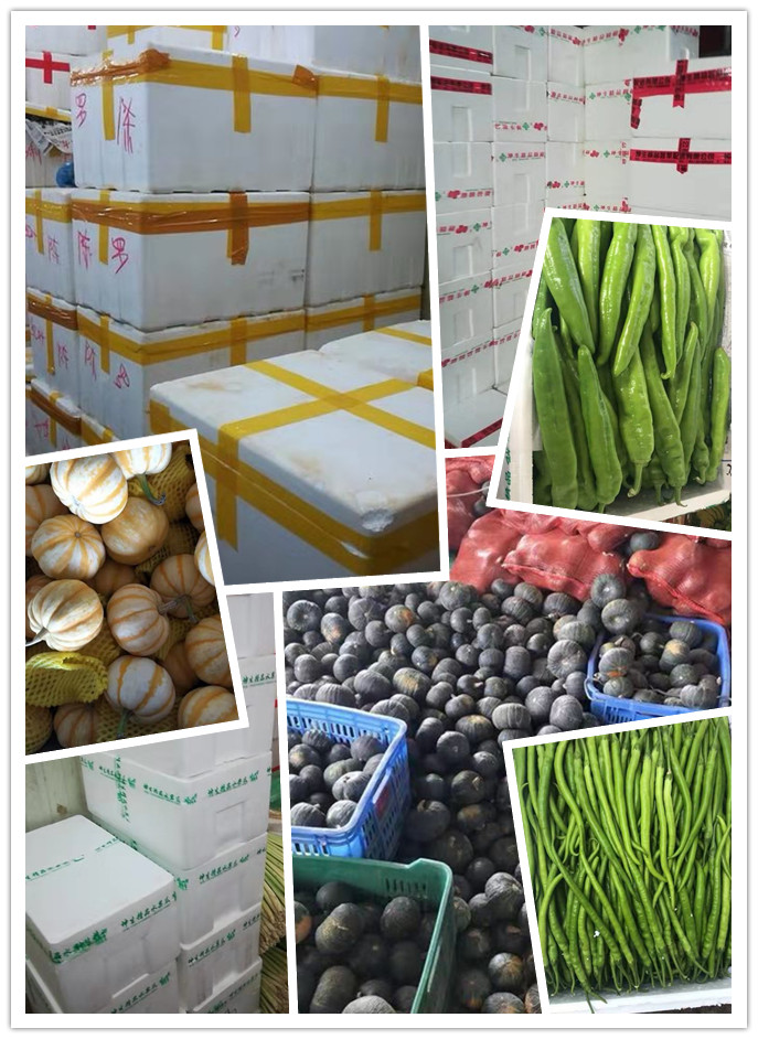 首页- 尊龙集团中国官网入口