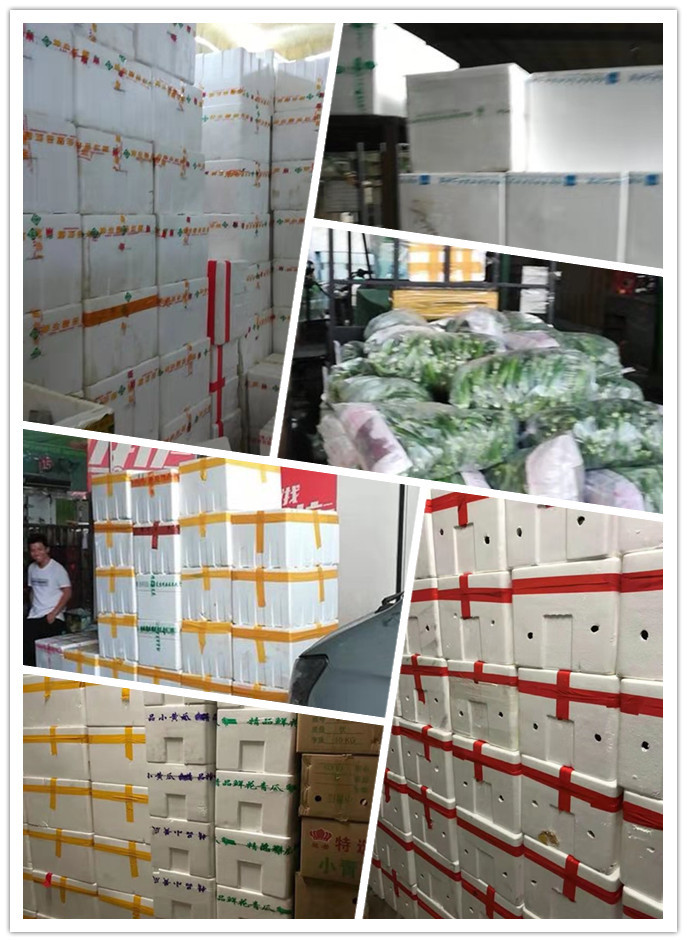 首页- 尊龙集团中国官网入口