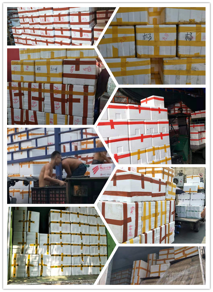 首页- 尊龙集团中国官网入口