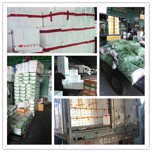 首页- 尊龙集团中国官网入口