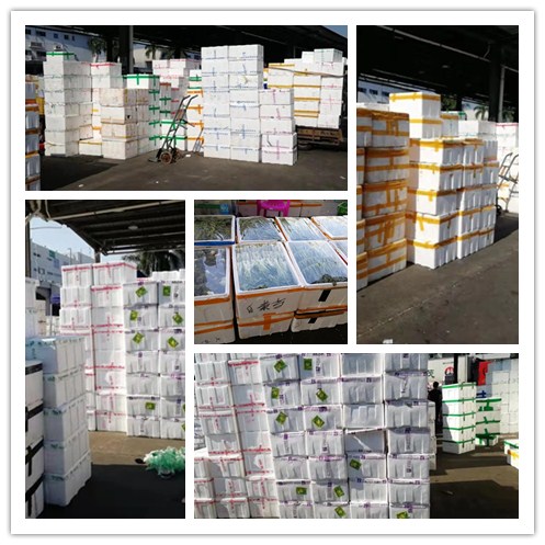 首页- 尊龙集团中国官网入口