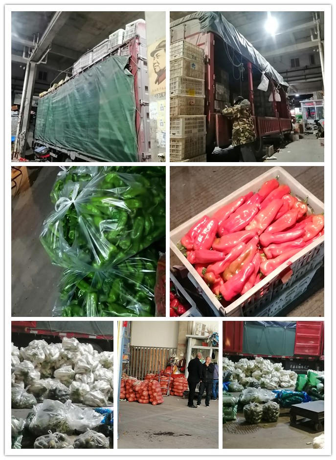 首页- 尊龙集团中国官网入口