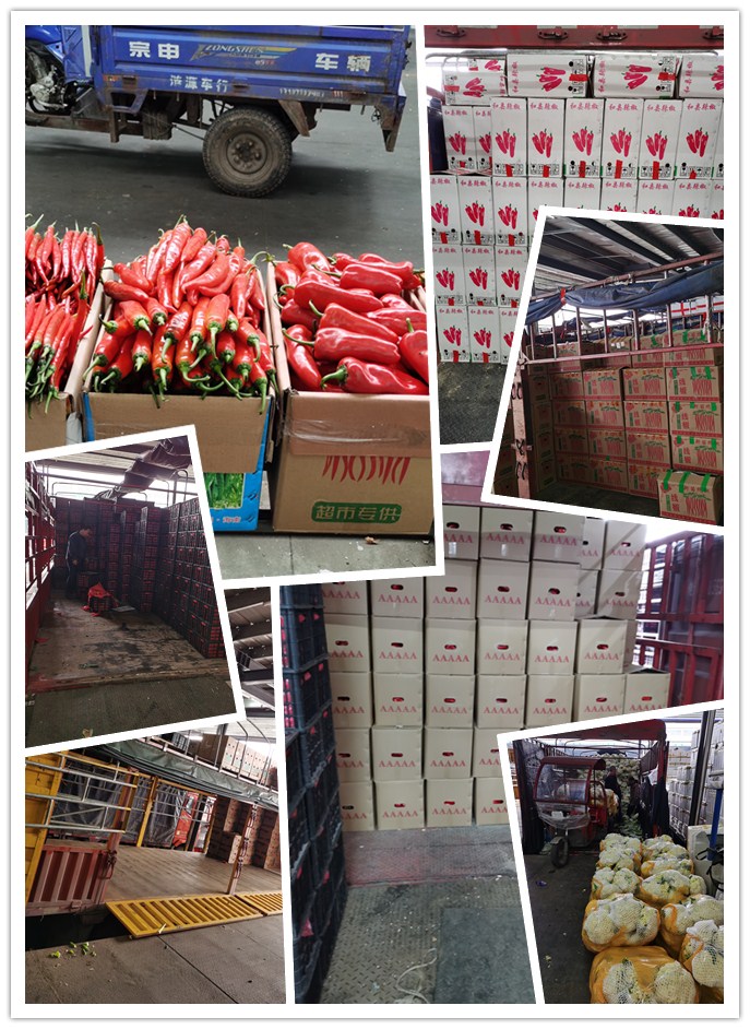 首页- 尊龙集团中国官网入口