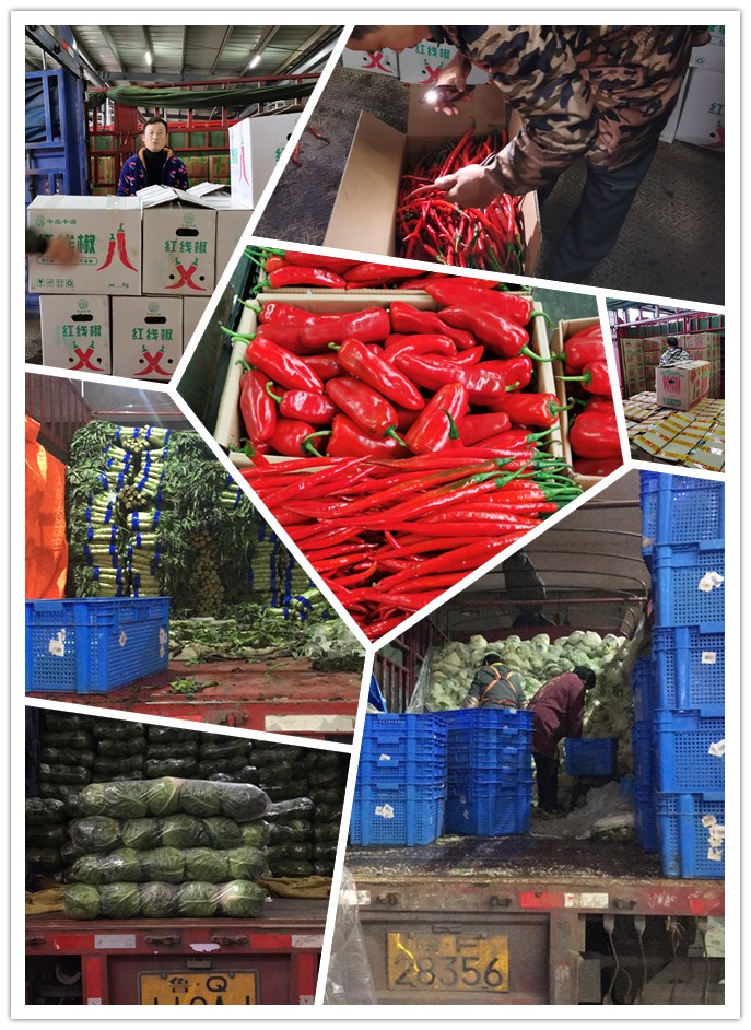 首页- 尊龙集团中国官网入口