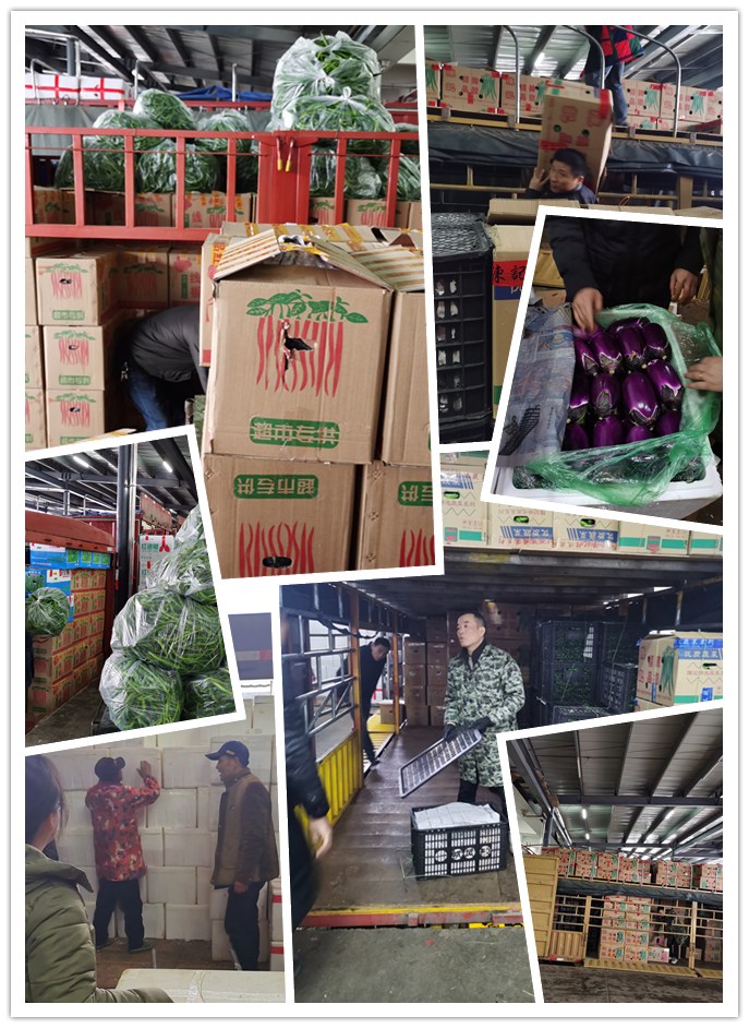 首页- 尊龙集团中国官网入口