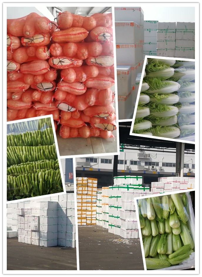 首页- 尊龙集团中国官网入口