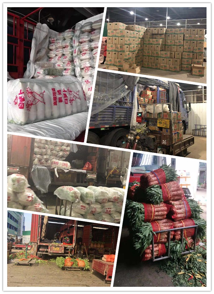 首页- 尊龙集团中国官网入口