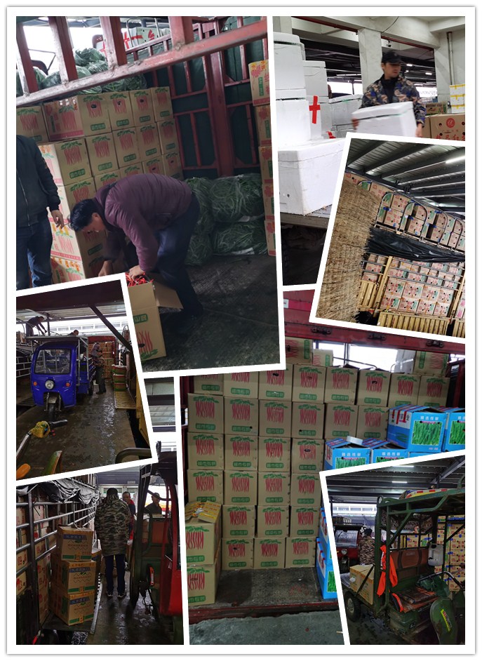 首页- 尊龙集团中国官网入口