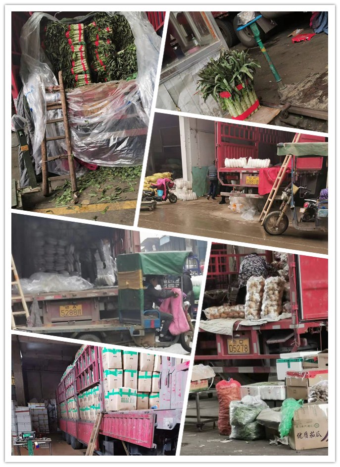 首页- 尊龙集团中国官网入口