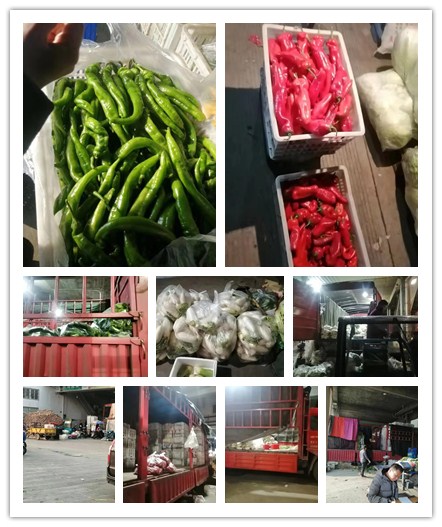 首页- 尊龙集团中国官网入口