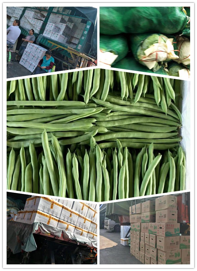 首页- 尊龙集团中国官网入口