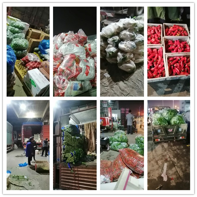 首页- 尊龙集团中国官网入口