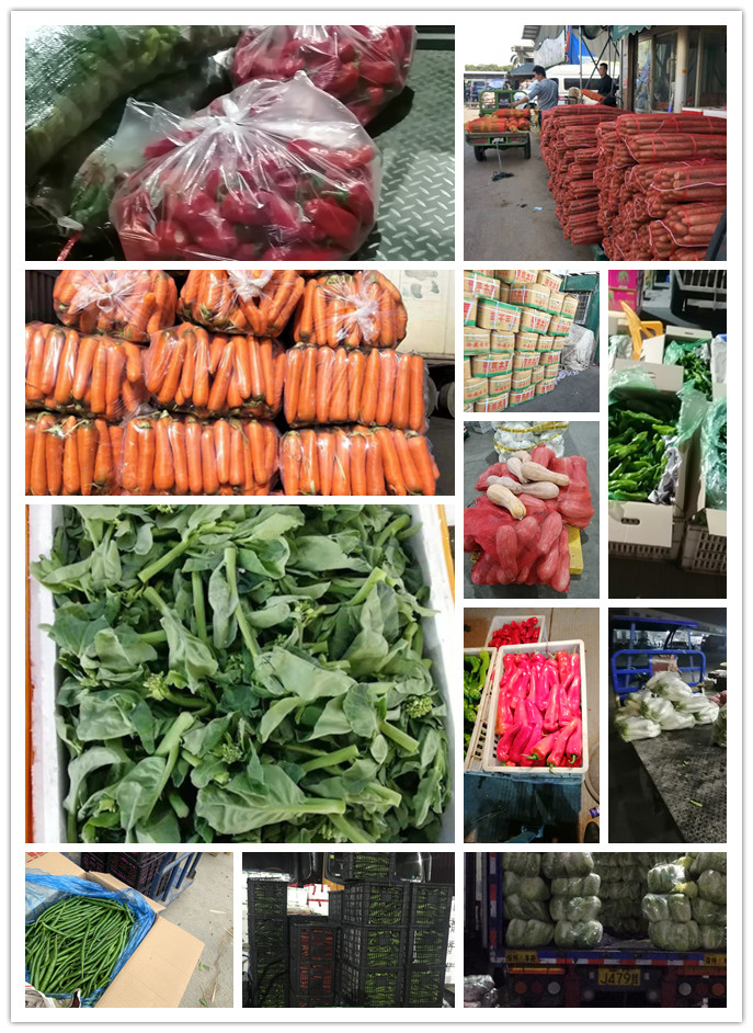 首页- 尊龙集团中国官网入口