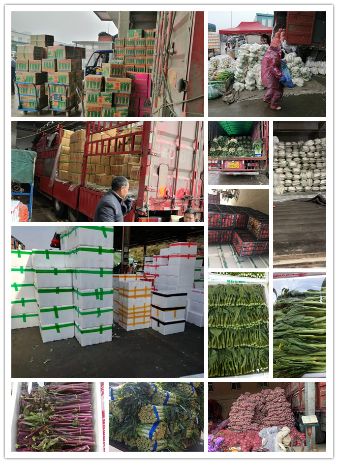 首页- 尊龙集团中国官网入口