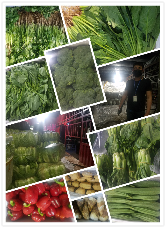 首页- 尊龙集团中国官网入口