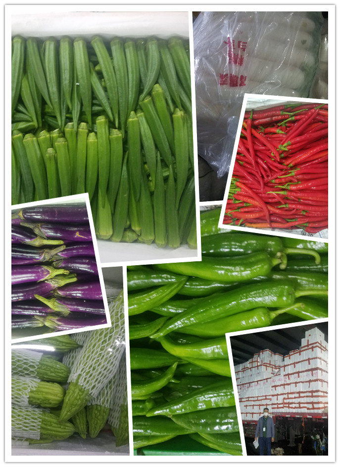 首页- 尊龙集团中国官网入口