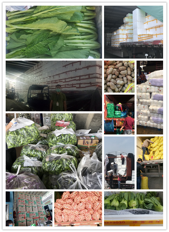 首页- 尊龙集团中国官网入口