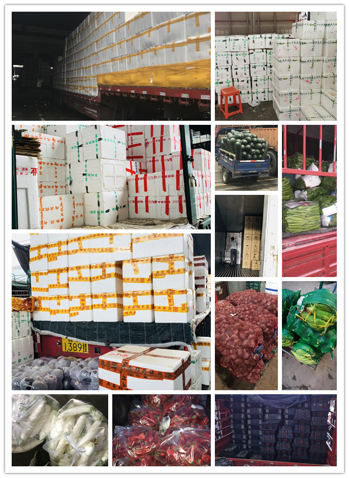 首页- 尊龙集团中国官网入口