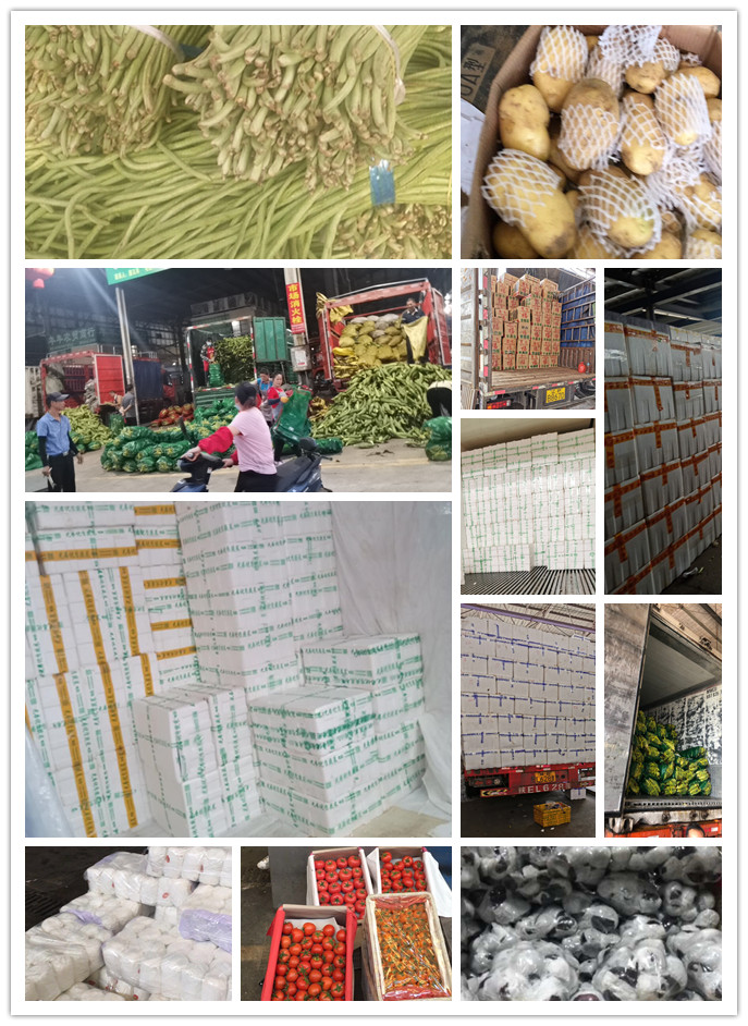 首页- 尊龙集团中国官网入口