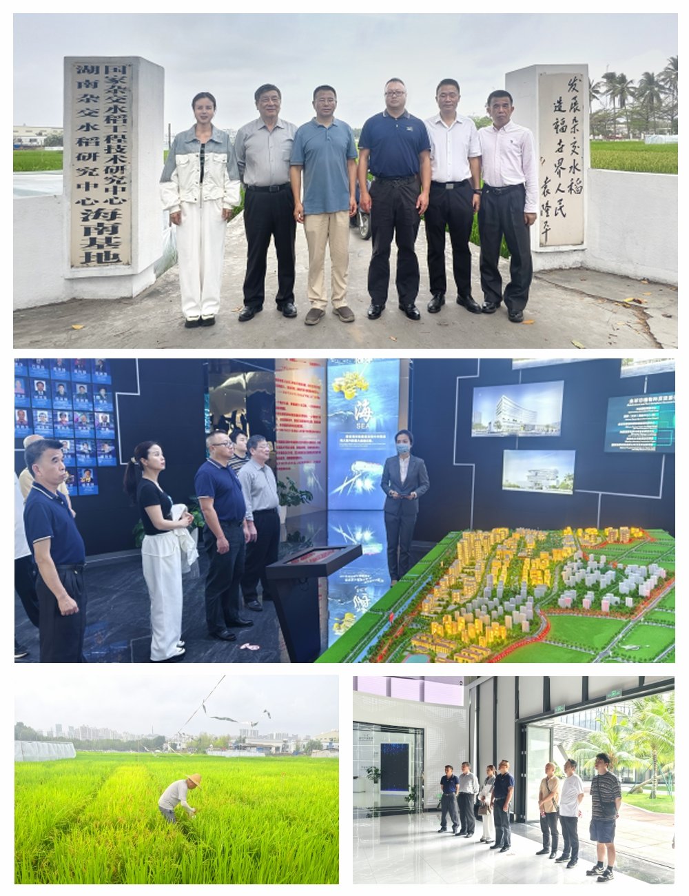 首页- 尊龙集团中国官网入口