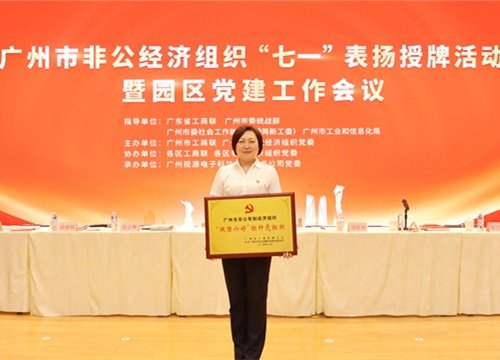 标杆引领，荣誉升级！集团党支部荣膺广州市非公有造经济组织“双强六好”标