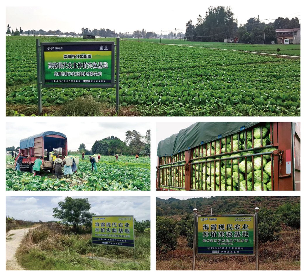 首页- 尊龙集团中国官网入口