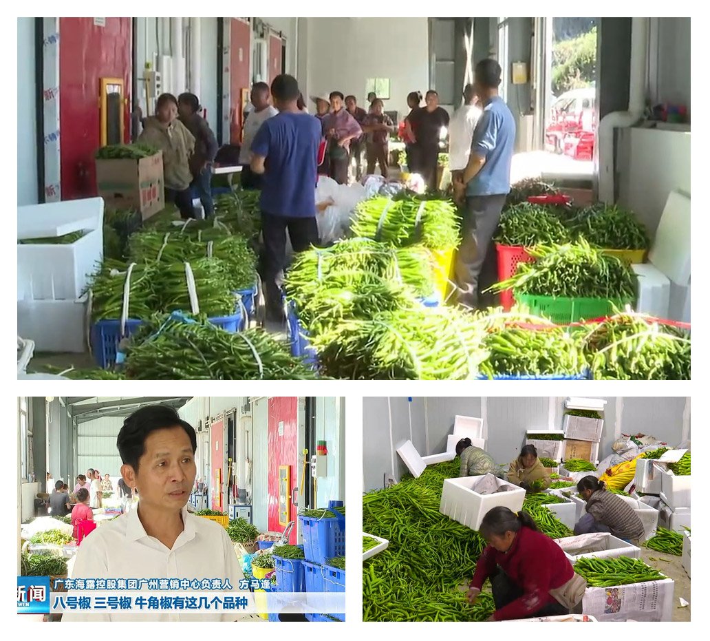 首页- 尊龙集团中国官网入口