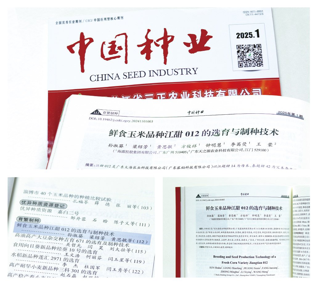 首页- 尊龙集团中国官网入口