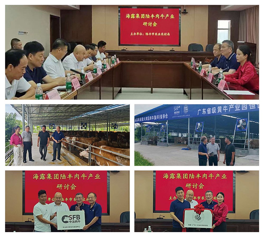 首页- 尊龙集团中国官网入口