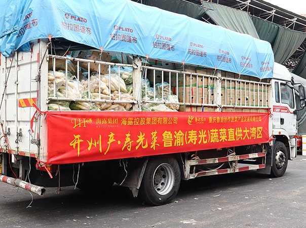渠路赋能，集团助力沉庆开州蔬菜首发直供大湾区